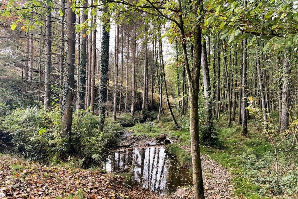 Forest Retreat- Serene 160M2 With Forest Views Wermelskirchen Bagian luar foto