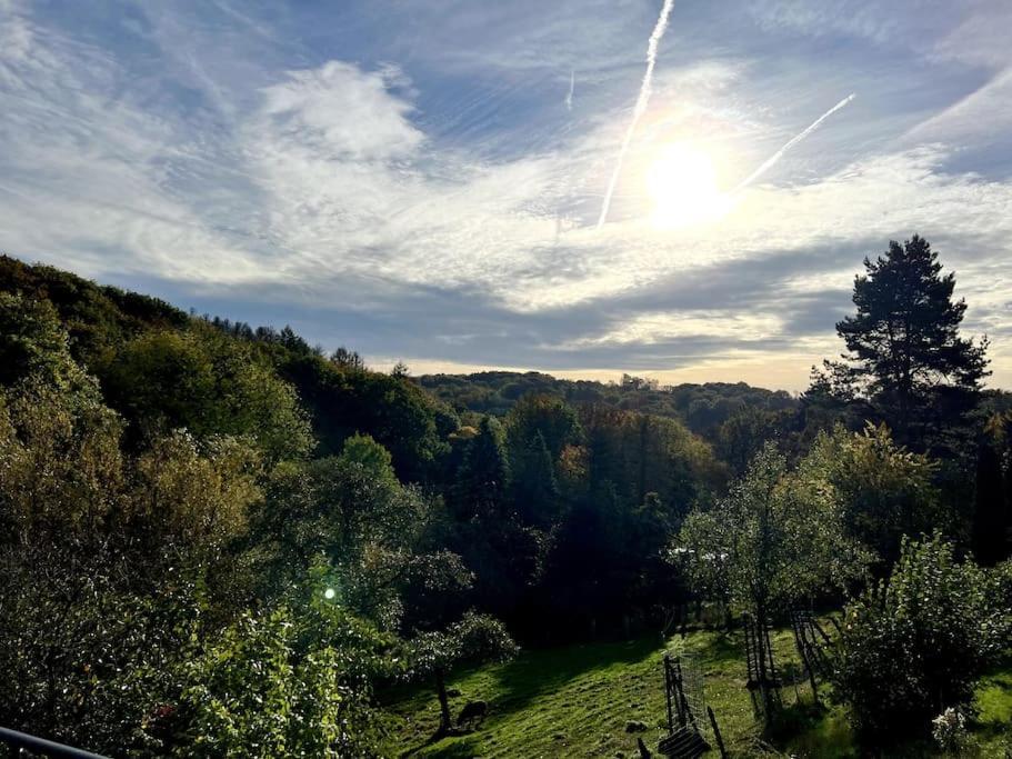 Forest Retreat- Serene 160M2 With Forest Views Wermelskirchen Bagian luar foto