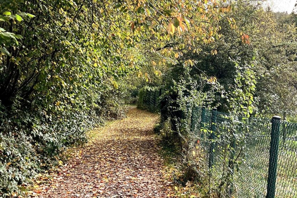 Forest Retreat- Serene 160M2 With Forest Views Wermelskirchen Bagian luar foto